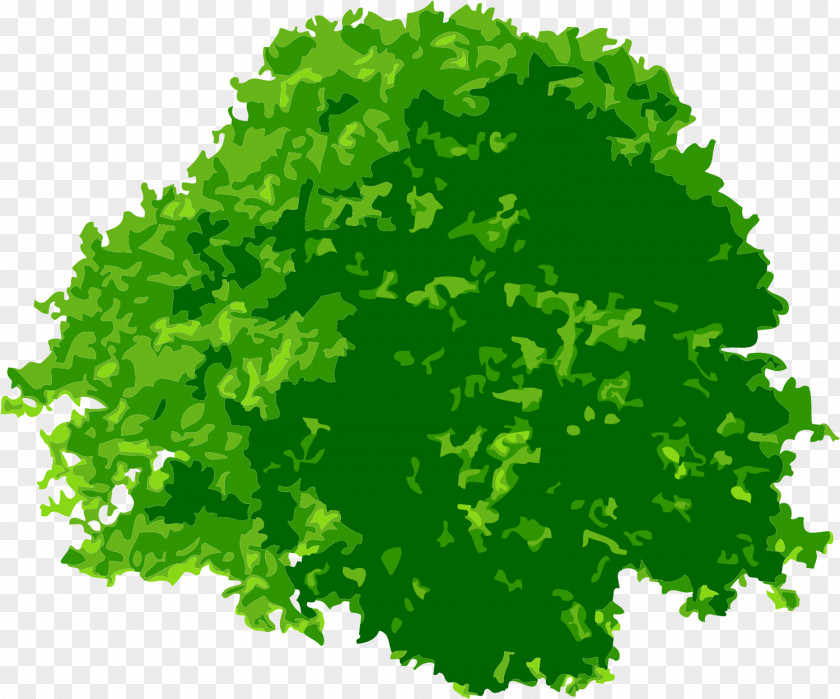 Fairy Tale Leaf Vegetable Tree Clip Art PNG