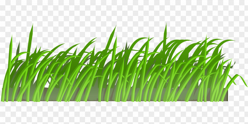 Grass Lawn Mowers Animation Clip Art PNG