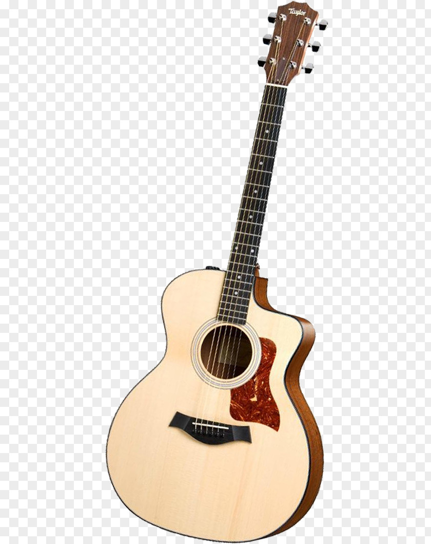 Guitar Instrument Music Playing PNG instrument music playing clipart PNG