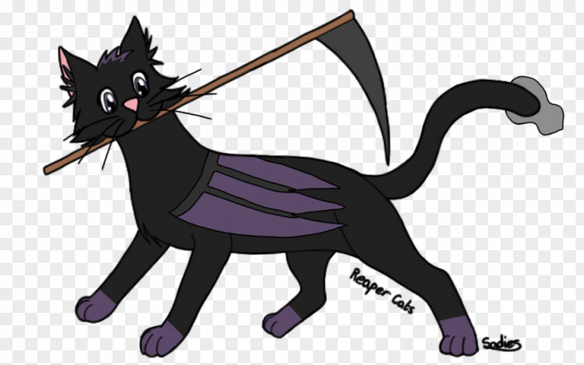 Kitten Black Cat Whiskers Dog PNG
