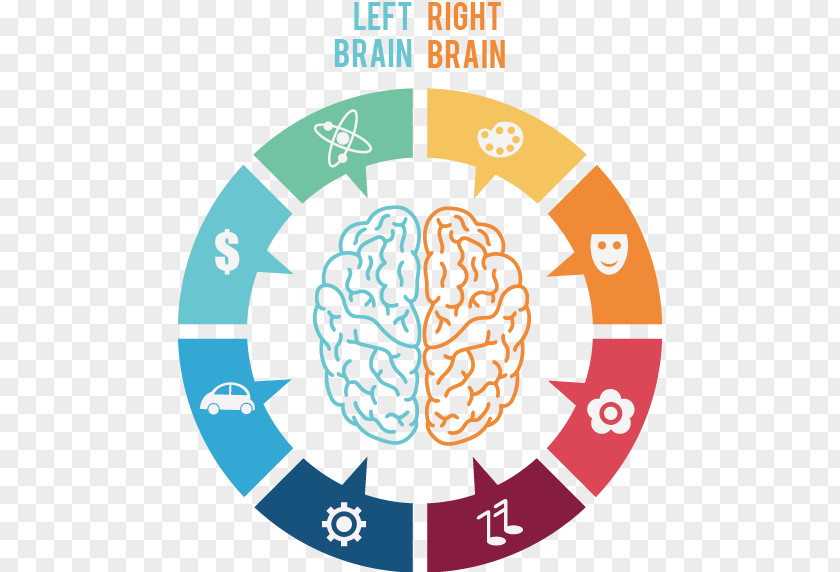Vector Hand-drawn Brain Icon PNG