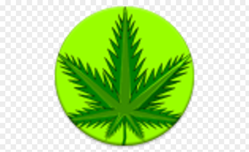 Cannabis Kindle Fire Android PNG