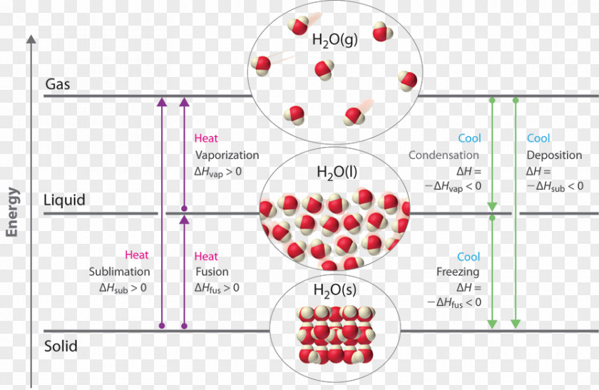 Chemical Change Physical Diagram Chemistry Matter PNG