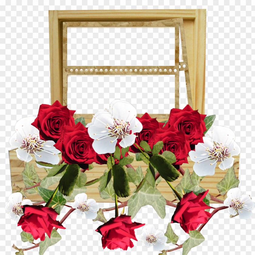 Love Frame Picture Frames Rose Cut Flowers Photography PNG