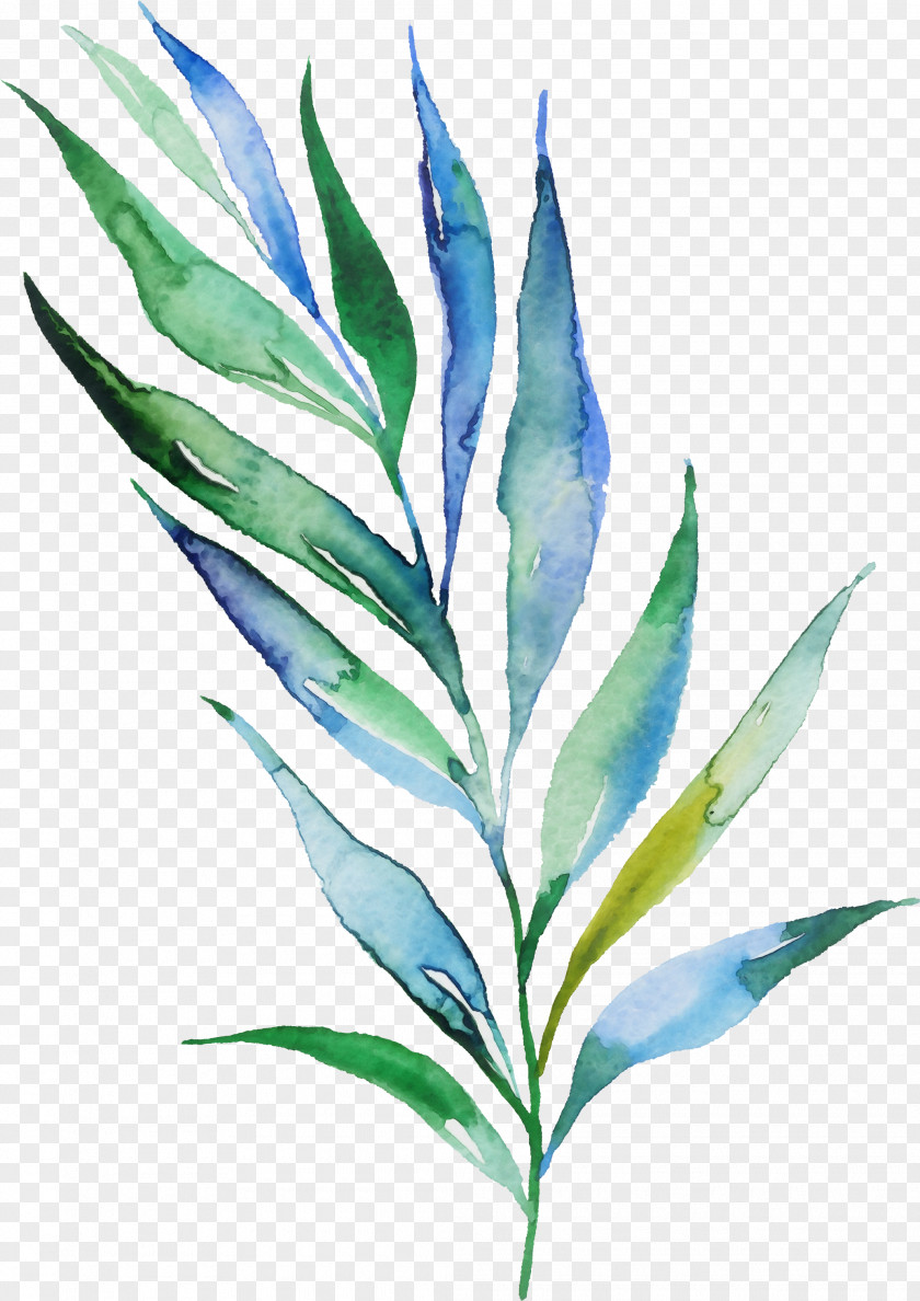 Perennial Plant Herbaceous Leaf Flower PNG