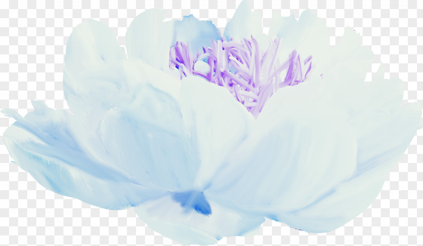 Watercolor Flowers Petal Blue Flower Floral Design PNG