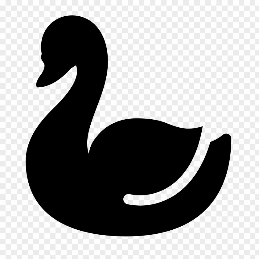 White Swan Duck Cygnini Clip Art PNG