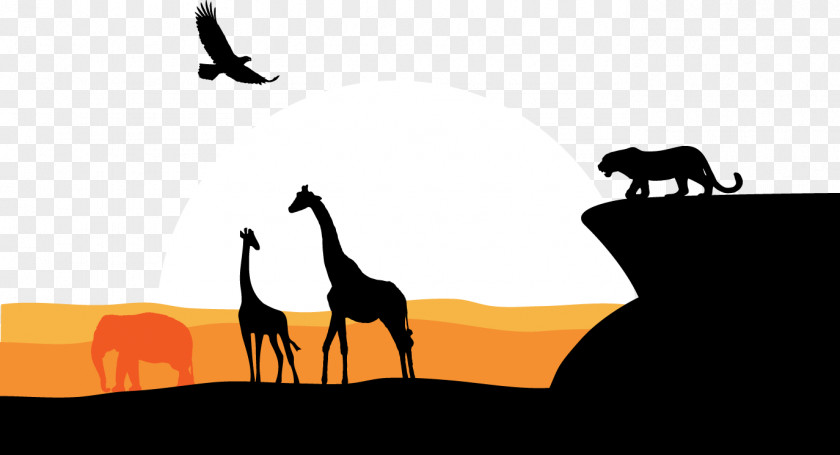 African Cheetah Giraffe Eagle Grassland Vision South Africa Graphic Design PNG