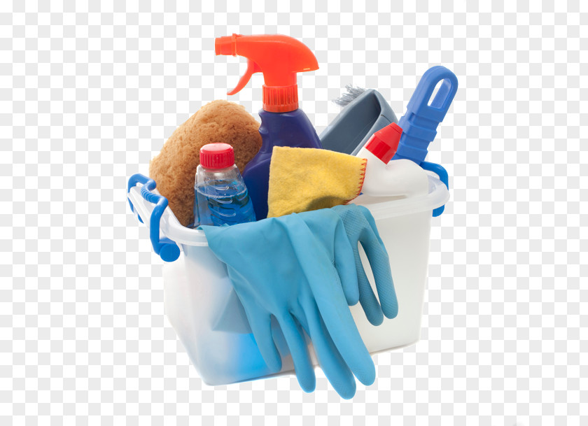 Domestic Cleaning Agent Cleaner Maid Service Baths PNG