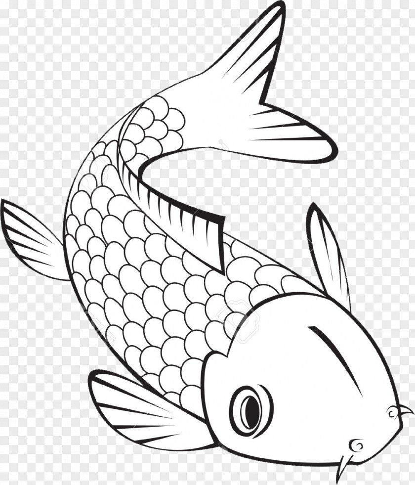 Fish Koi Coloring Book Tropical Goldfish PNG