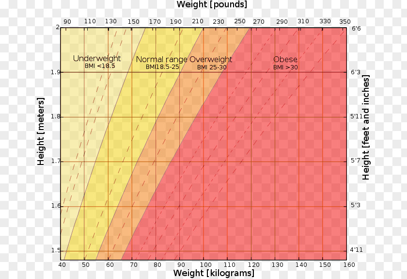 Perfect Weight And Height Percentile Body Mass Index Growth Chart Human PNG
