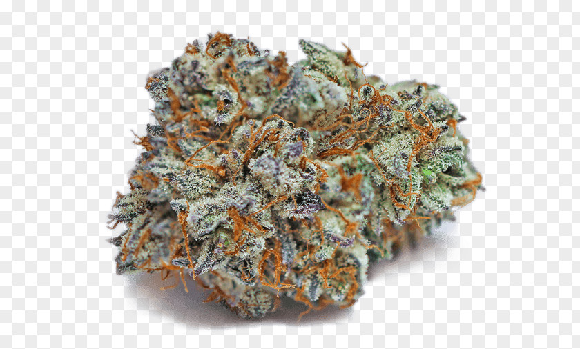 Strain Organic OC Gorilla Glue Lake Forest CA Kush Medical Cannabis PNG