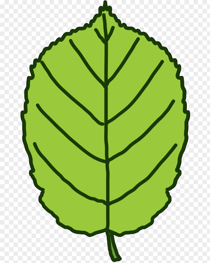 Clip Art Plant Stem Leaf Line Commodity PNG