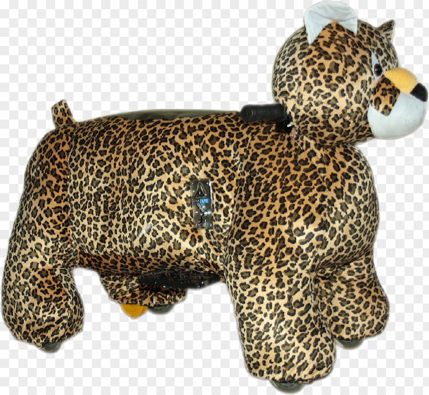 Leopard Jaguar Tiger Lion Cheetah PNG