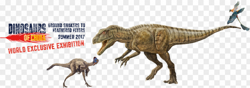 Roaring Dinosaur Velociraptor Dream Tyrannosaurus Brachiosaurus PNG