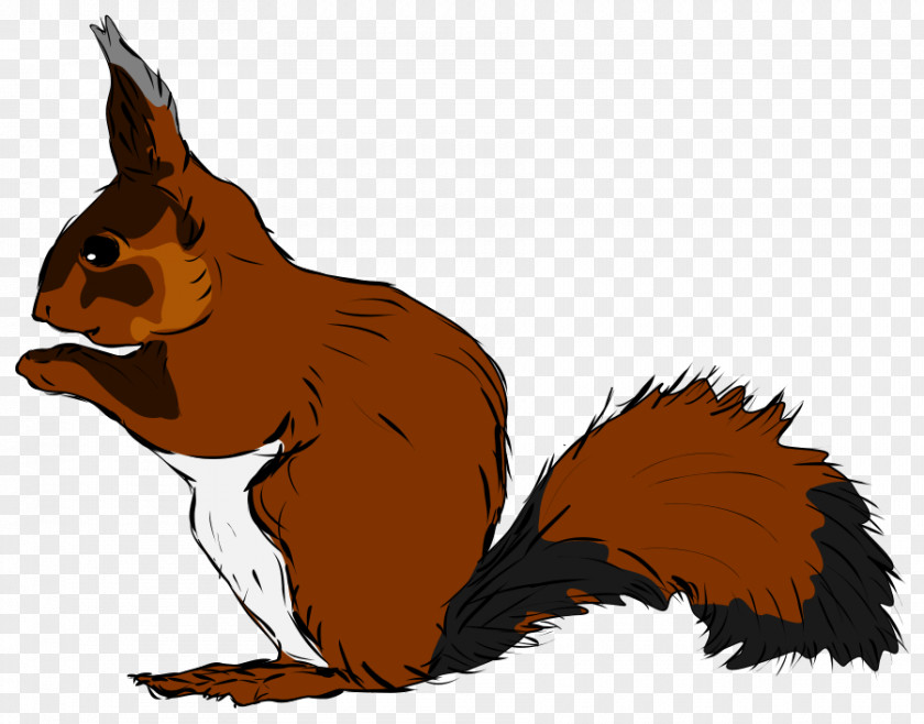 Squirrel Drawing Clip Art PNG