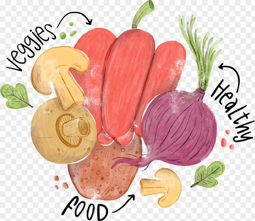 Vegetable Food Organic Veggie Burger Watercolor Painting PNG