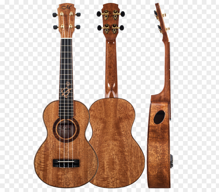 Acoustic Guitar Ukulele Tiple Cuatro Cavaquinho PNG