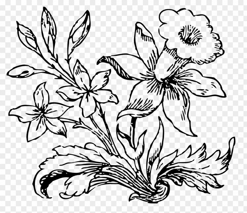 Flower Drawing Black And White Desktop Wallpaper Clip Art PNG