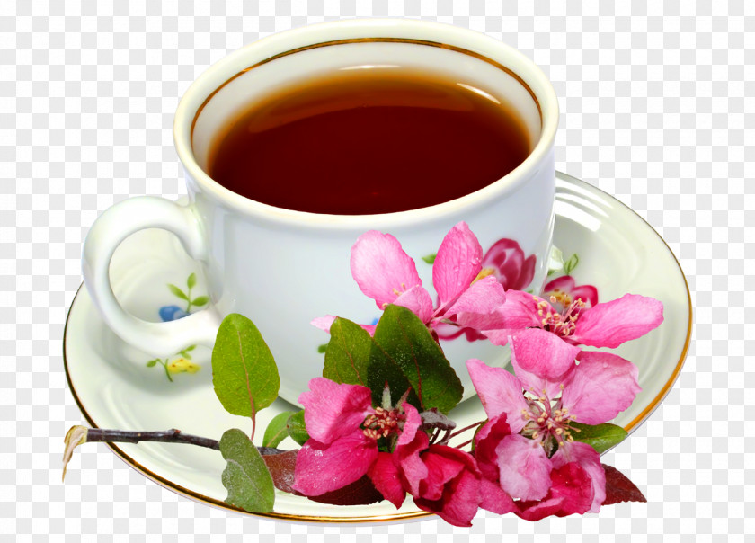 Flower Tea Earl Grey Green Flowering Mate Cocido PNG