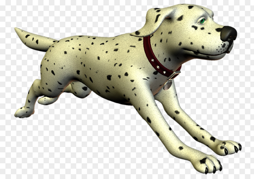 MASCOTAS Dalmatian Dog Breed Companion Non-sporting Group Snout PNG