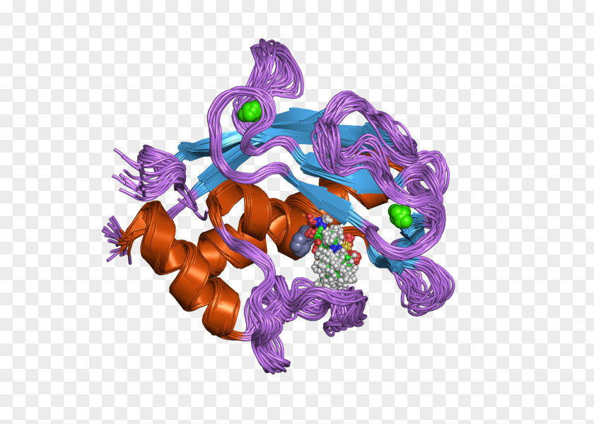 Metalloproteinase MMP20 Protease Matrix Metallopeptidase 20 (enamelysin) PNG