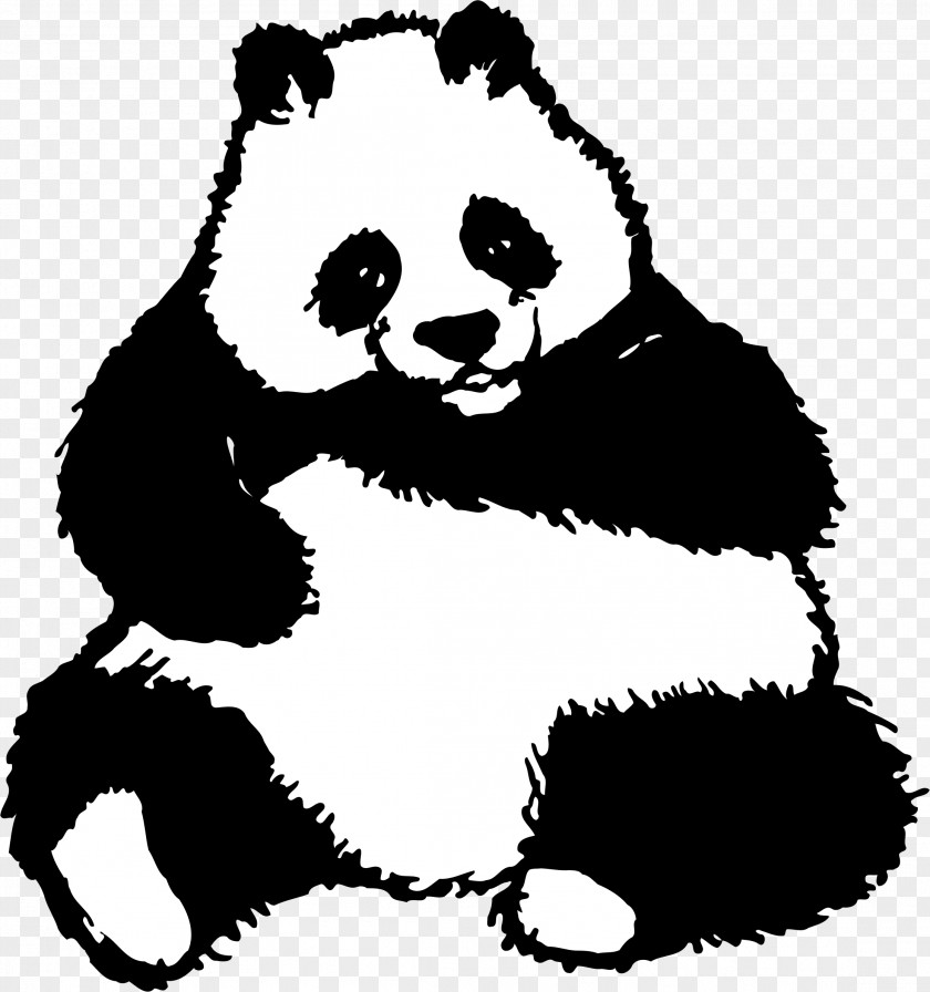 Panda Giant Drawing Clip Art PNG