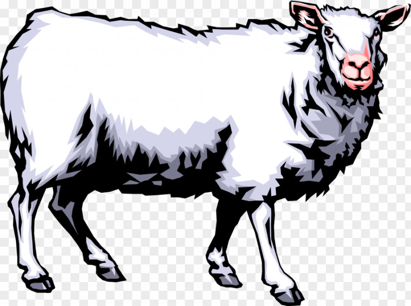 Sheep Clip Art Image GIF Illustration PNG