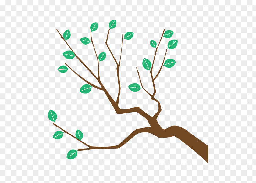 Twig Plant Stem Clip Art Leaf Product PNG