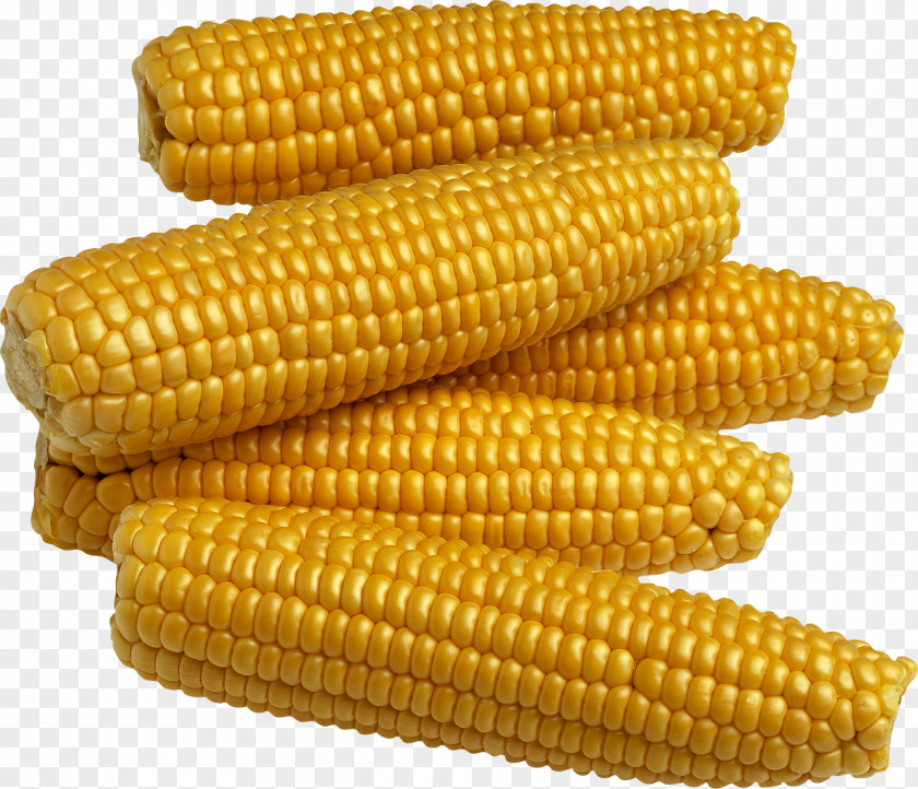 Yellow Corn Image Maize On The Cob Kernel Sweet Food PNG