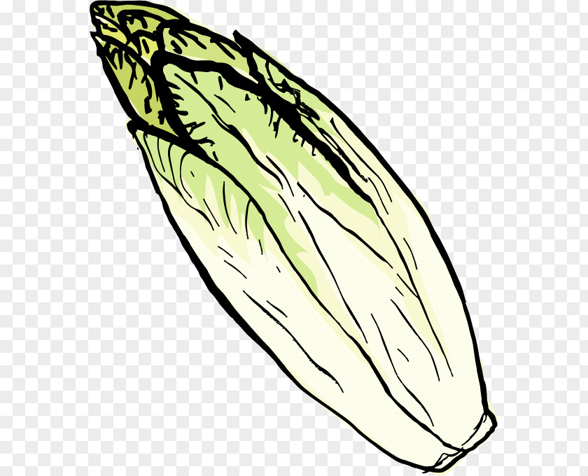 Celeriac Celery Produce Infinity Foods Clip Art Spring PNG