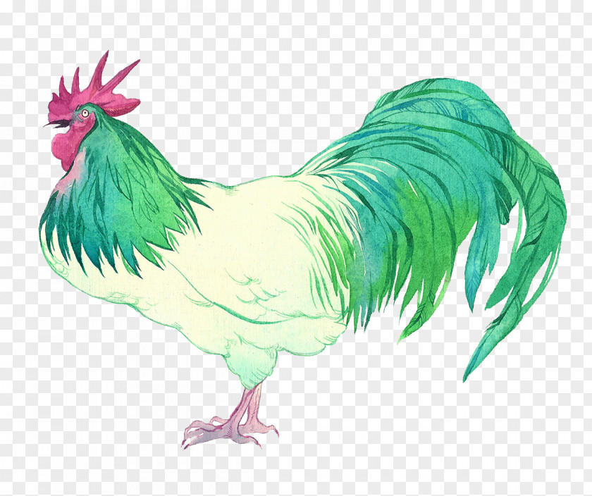 Creative Watercolor Green Cock Rooster Chicken Gamecock Illustration PNG
