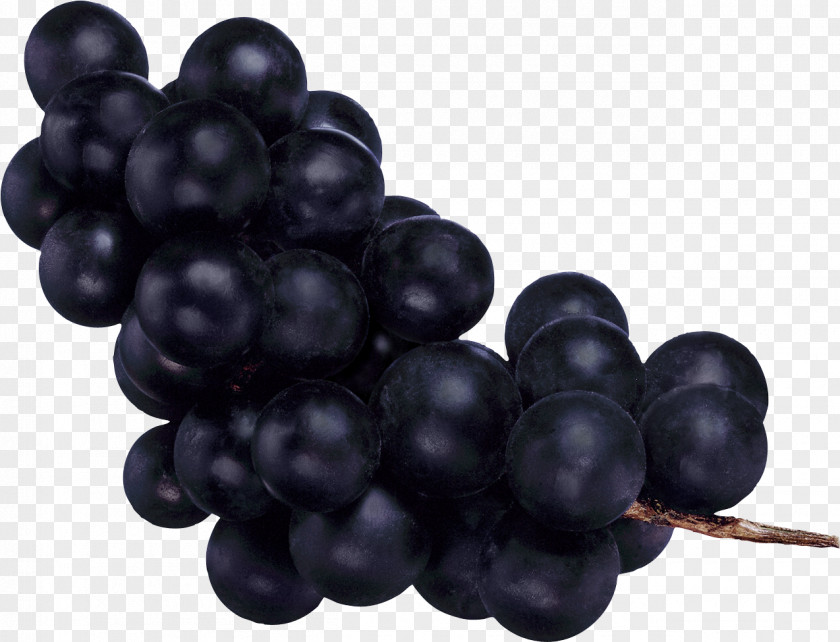 Grape Image Common Vine Fruit PNG