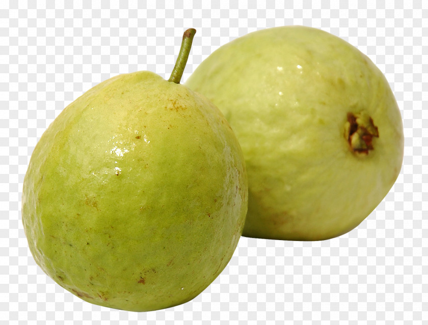 Guava File Fruit Clip Art PNG