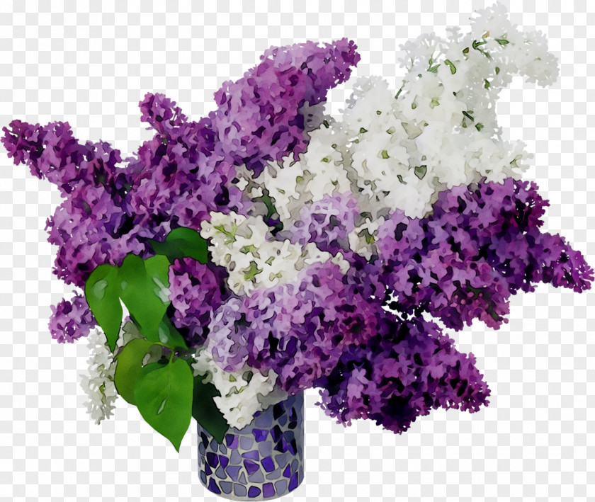 Lilac Vase Cut Flowers Garden Stock Photography PNG