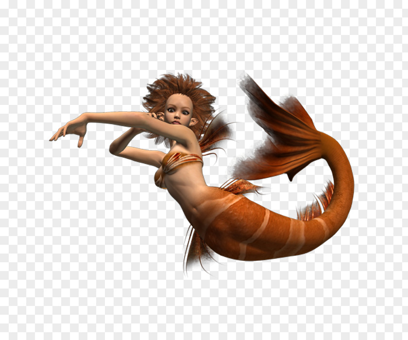 Mermaid Data Compression PNG