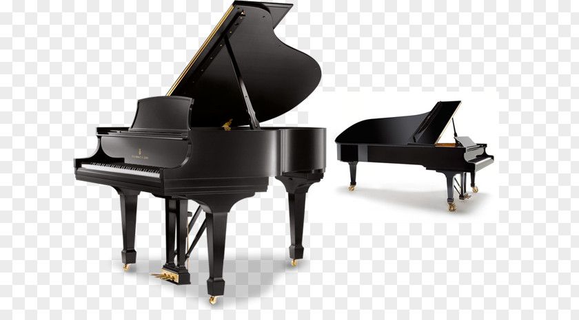 Piano Steinway & Sons Digital Grand Seiler Pianoforte GmbH PNG