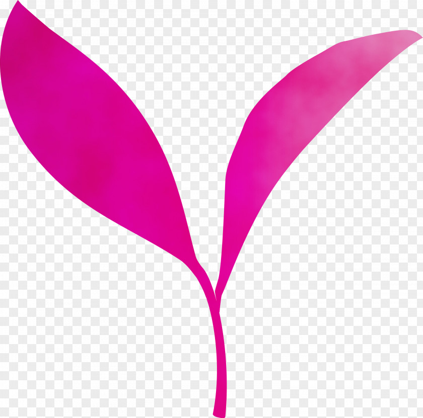 Pink Violet Magenta Leaf Purple PNG