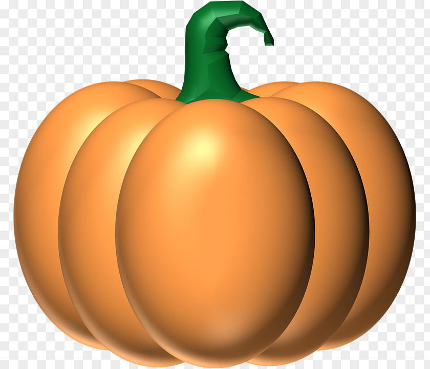 Pumpkin Clip Art Jack-o'-lantern Squash Halloween PNG