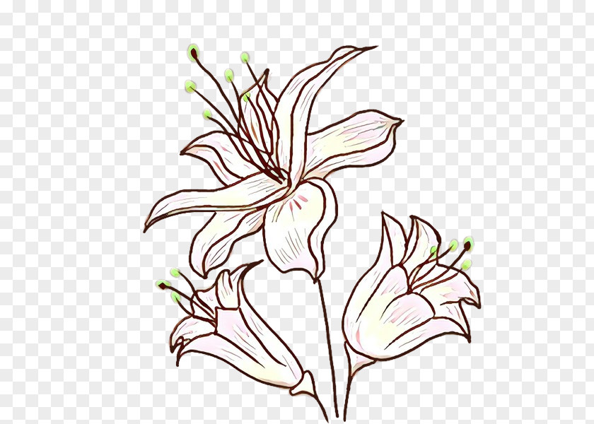 Wildflower Plant Stem Flower Pedicel Leaf Flowering PNG