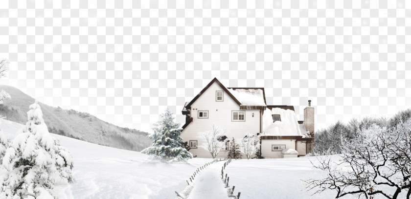 Winter Snow Is Snowing Stock Image Illustration PNG