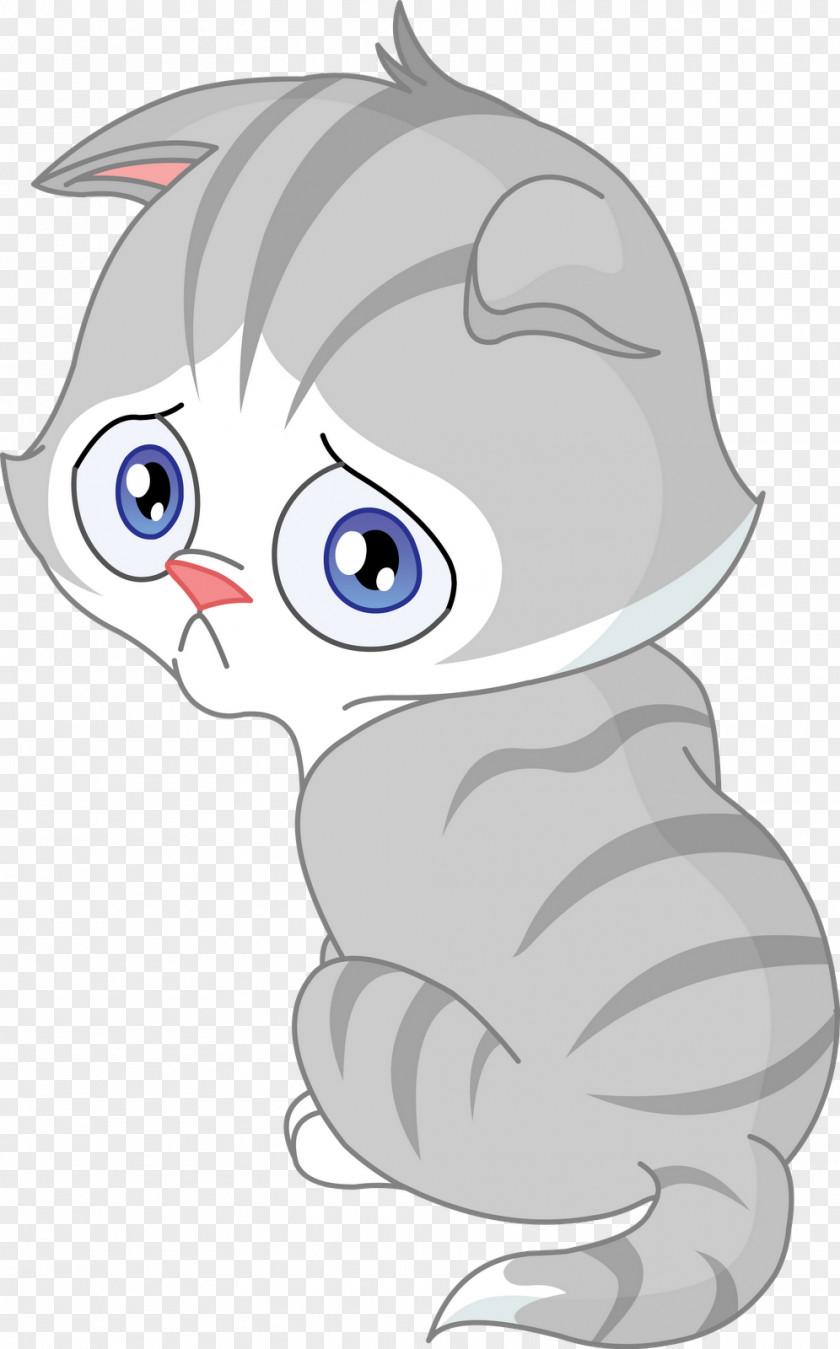 Cats Cat Kitten Sadness Clip Art PNG