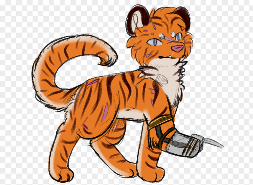 Overjoyed Frame Tiger Lion Clip Art Illustration Whiskers PNG