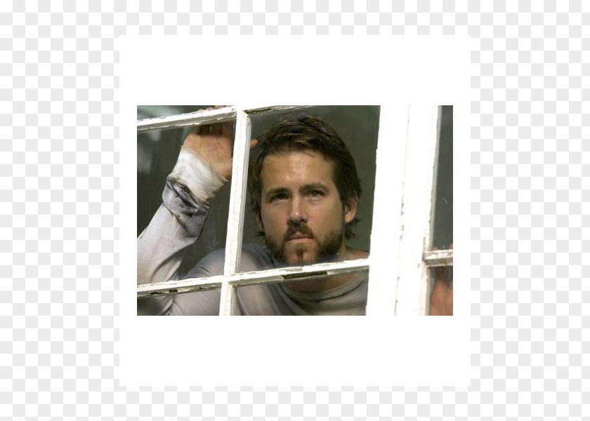 Ryan Reynolds The Amityville Horror Film Series PNG