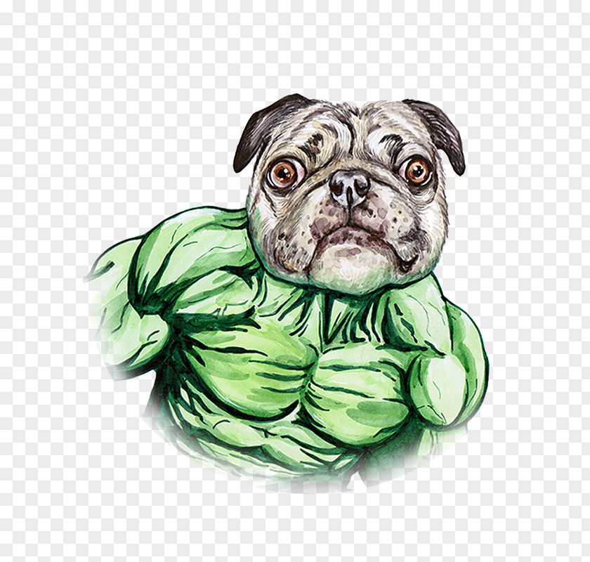 Hand Painted Watercolor Dog Green Giant Pug Hulk Puppy PNG