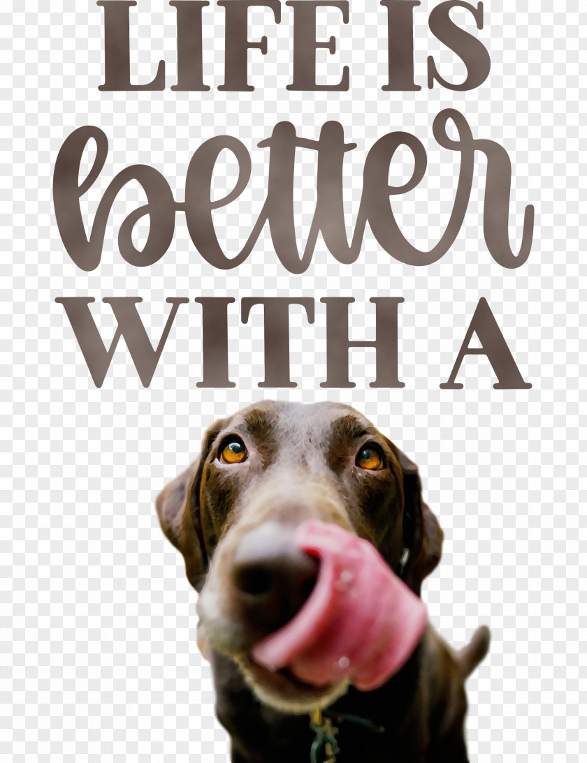 Dog Snout Font Breed Meter PNG