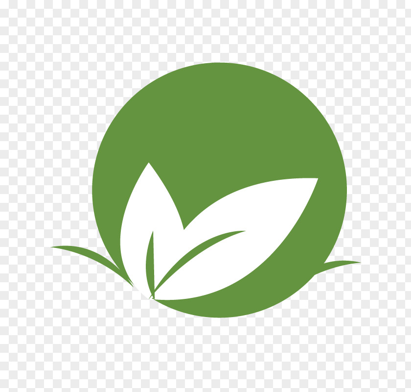 Leaf Logo Brand Line Font PNG