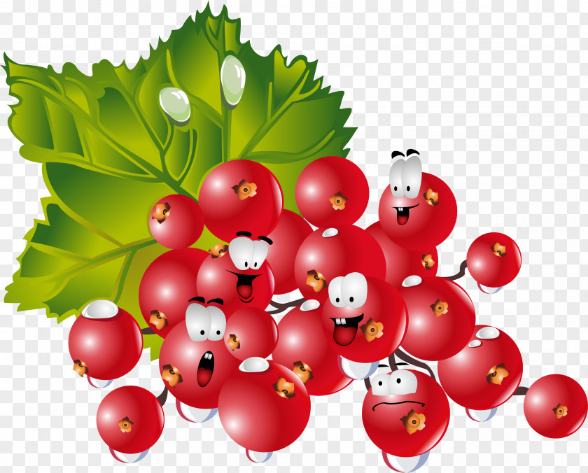 Berries Fruit Clip Art PNG