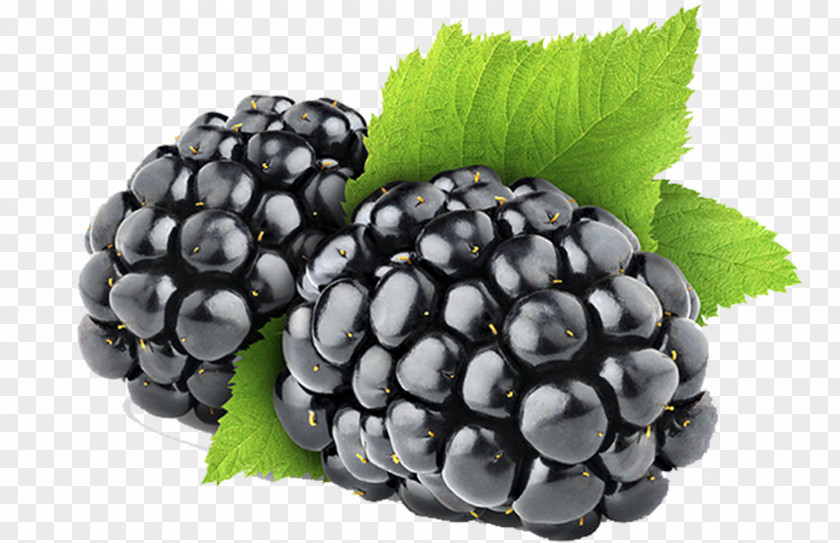 Blackberry Organic Food Berries Fruit Kissel PNG