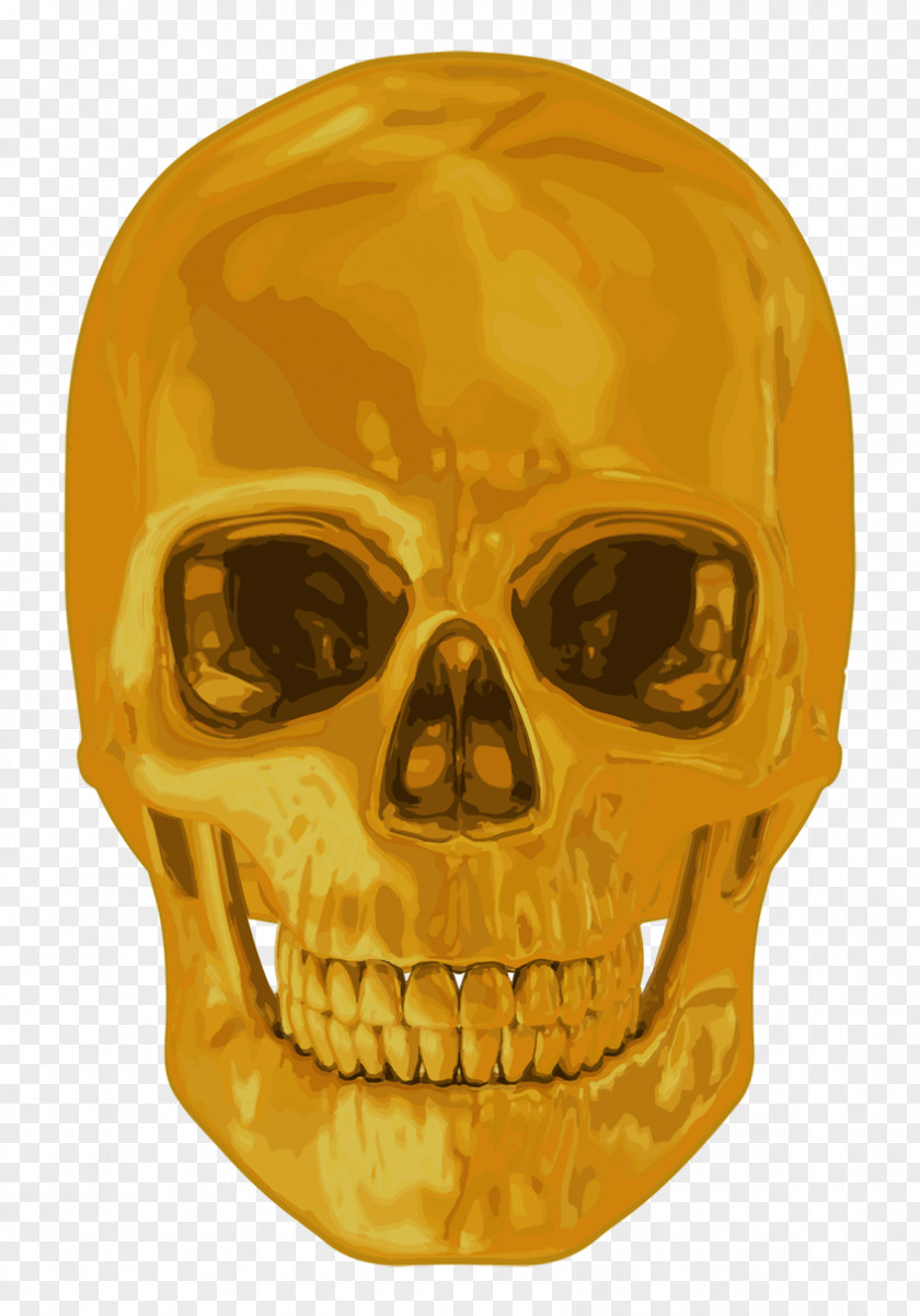 Blue Skull Human Symbolism Stock Photography Gold Teeth PNG